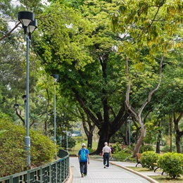 The park was completed back in 1967. Trees are able to mature and thrive throughout the years in all sorts of heights and fascinating forms due to the unceasing effort over the years in maintaining a good condition of the park.